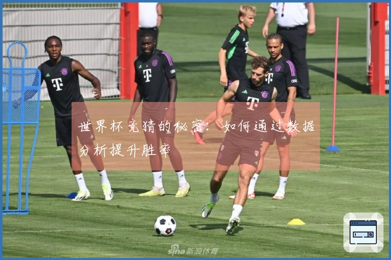 世界杯竞猜的秘密：如何通过数据分析提升胜率