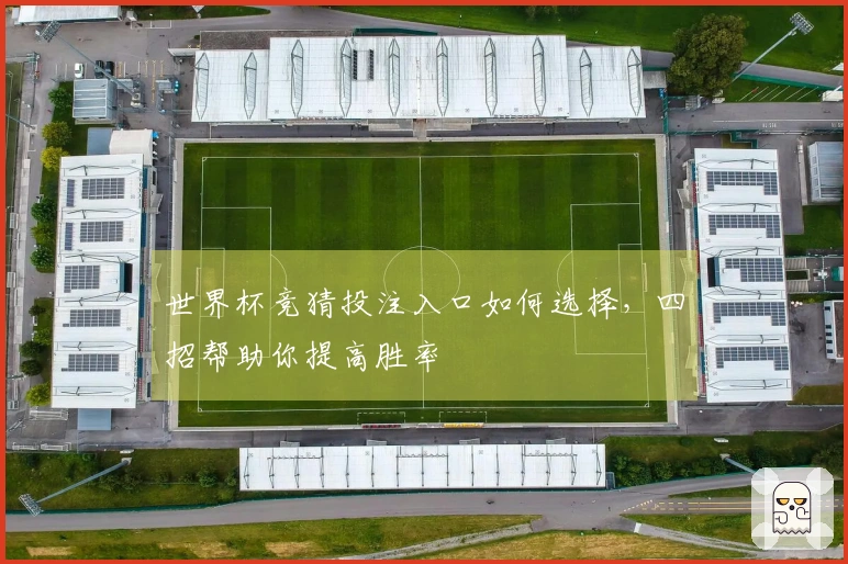 世界杯竞猜投注入口如何选择，四招帮助你提高胜率