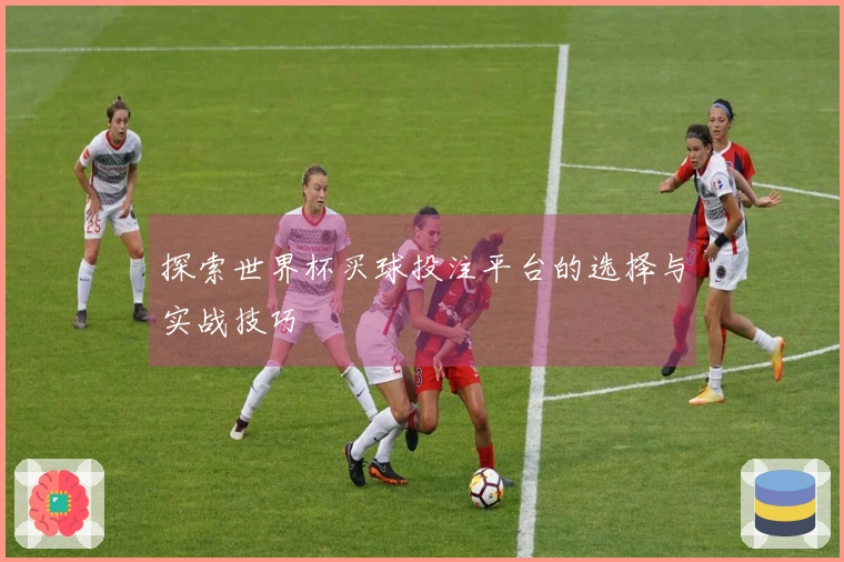 探索世界杯买球投注平台的选择与实战技巧