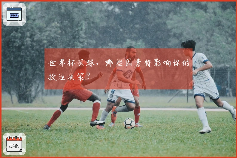 世界杯买球，哪些因素将影响你的投注决策？
