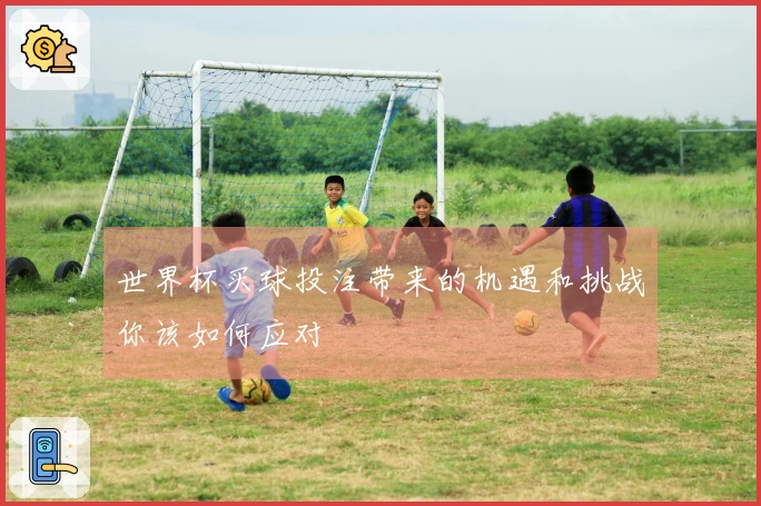 世界杯买球投注带来的机遇和挑战你该如何应对
