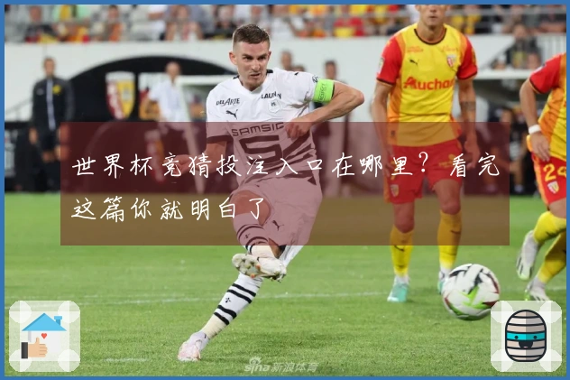 世界杯竞猜投注入口在哪里？看完这篇你就明白了
