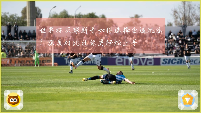 世界杯买球新手如何选择合适玩法？深度对比让你更轻松上手