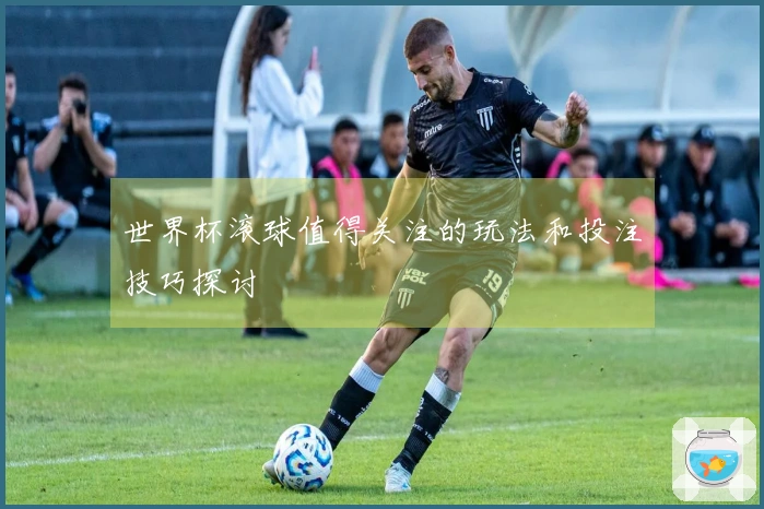 世界杯滚球值得关注的玩法和投注技巧探讨