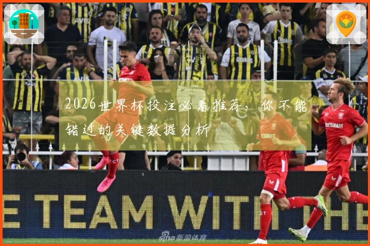 2026世界杯投注必看推荐，你不能错过的关键数据分析