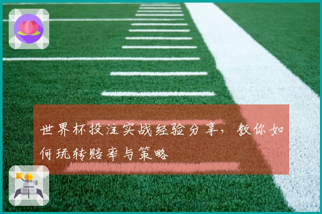 世界杯投注实战经验分享，教你如何玩转赔率与策略