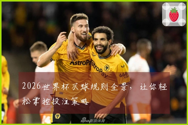 2026世界杯买球规则全景，让你轻松掌控投注策略