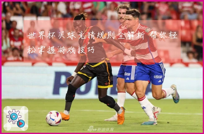 世界杯买球竞猜规则全解析 帮你轻松掌握游戏技巧