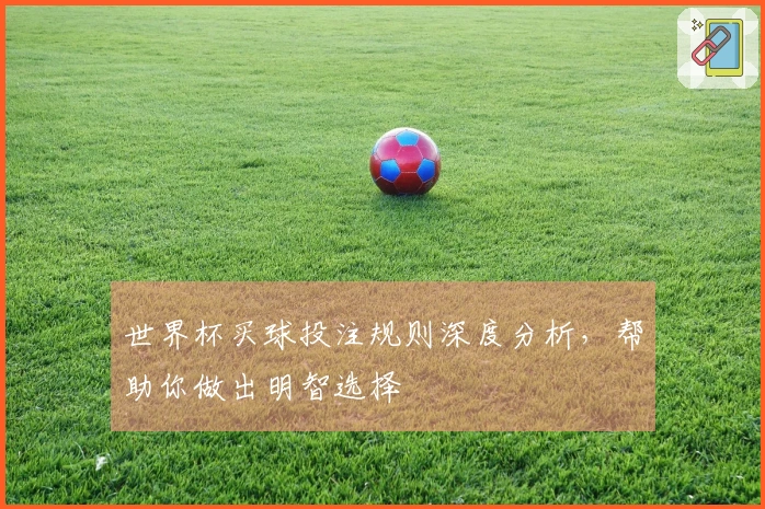 世界杯买球投注规则深度分析，帮助你做出明智选择