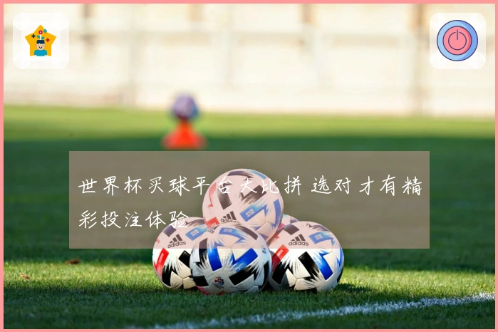 世界杯买球平台大比拼 选对才有精彩投注体验