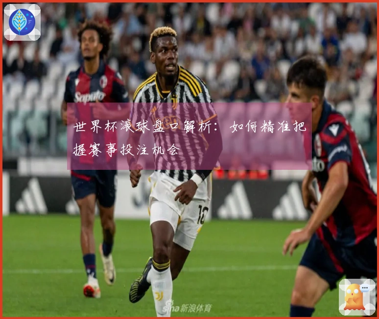 世界杯滚球盘口解析：如何精准把握赛事投注机会