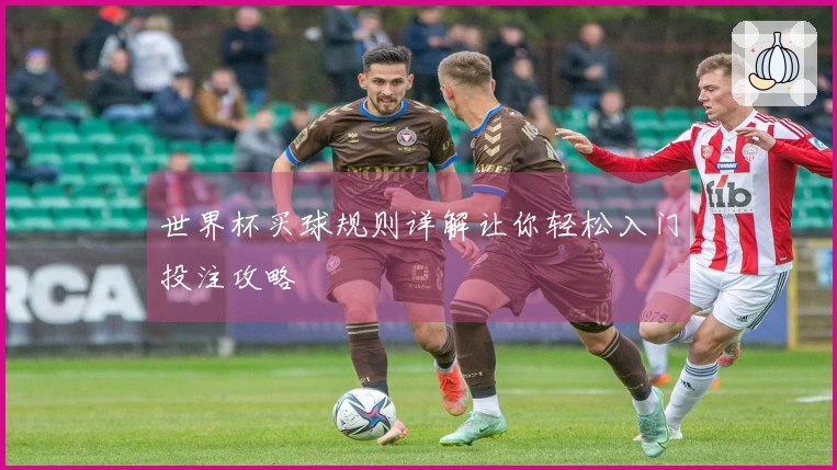 世界杯买球规则详解让你轻松入门投注攻略