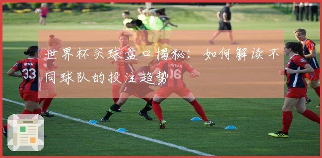 世界杯买球盘口揭秘：如何解读不同球队的投注趋势