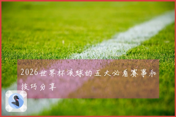 2026世界杯滚球的五大必看赛事和技巧分享