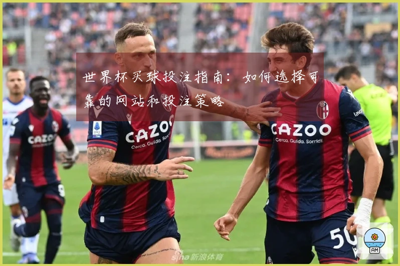 世界杯买球投注指南：如何选择可靠的网站和投注策略