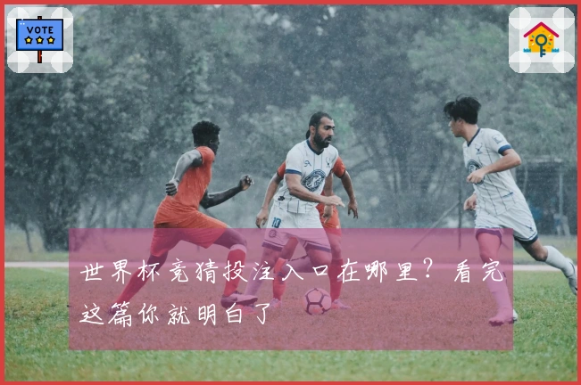 世界杯竞猜投注入口在哪里？看完这篇你就明白了