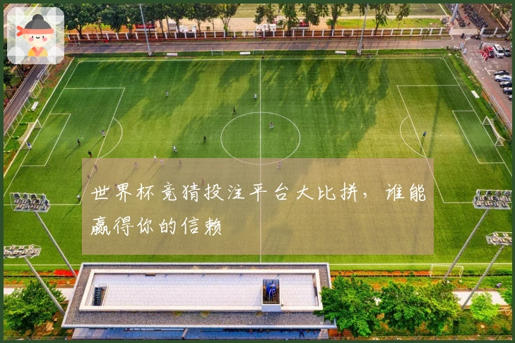 世界杯竞猜投注平台大比拼，谁能赢得你的信赖