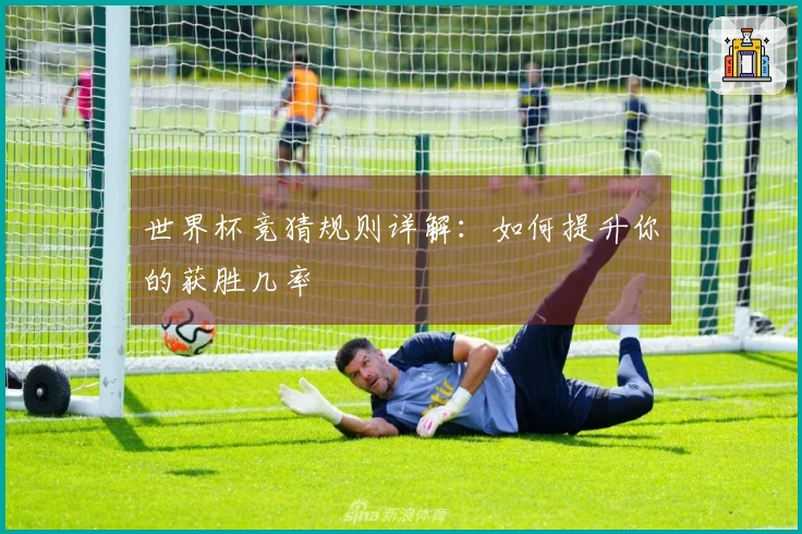 世界杯竞猜规则详解：如何提升你的获胜几率