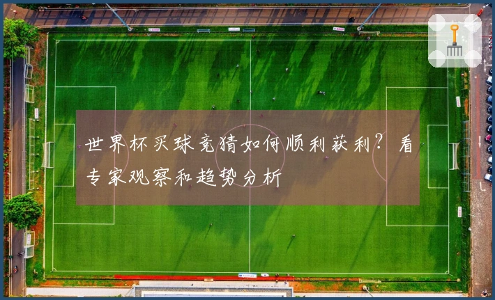 世界杯买球竞猜如何顺利获利？看专家观察和趋势分析